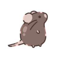 쮝 젤리